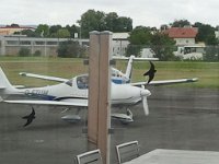 IMG 1304