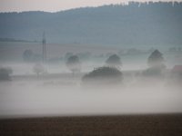IMG 3077