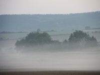 IMG 3078