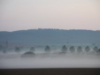 IMG 3086