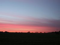 IMG 3156