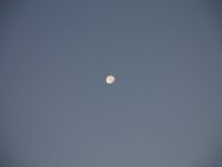 IMG 3260
