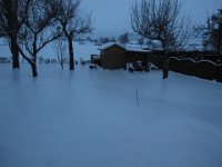 IMG 3378