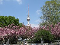 IMG 3905