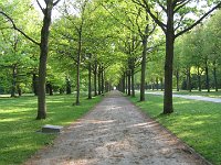 IMG 4137