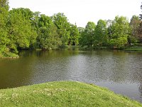 IMG 4153