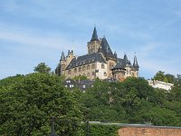 IMG 4506