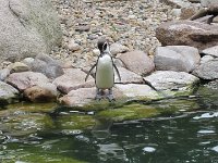 IMG 4595
