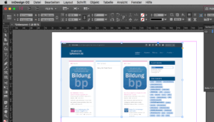 gute Anzeigeleistung bei InDesign