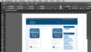 schlechte Anzeigeleistung bei InDesign